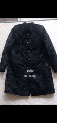 Palto