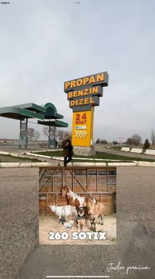 Продаётся Готовая Ферма современной модификации. М39 трасса 1-линия