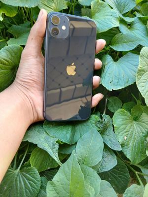 Iphone 11 sotiladi