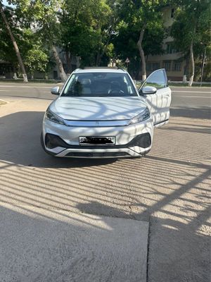 BYD gibrid chempion 2024.