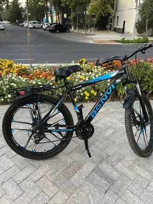 Velik sotiladi holati yaxshi