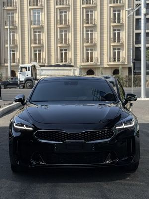 Stinger GT Steg klingan krasak toza