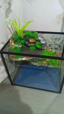 Террариумы для водных черепах