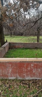 Срочна ер. Сотилади. 1гектар