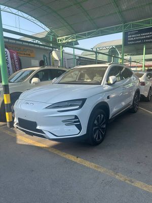 byd chempion smart