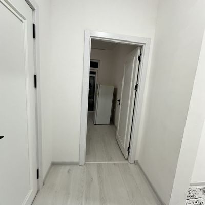 "Бектемирский Ориентир: Прокуратура. Муссофо Маскан 3- ком аренда