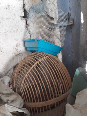 2ta qush qafasi bor 100 mingga beraman