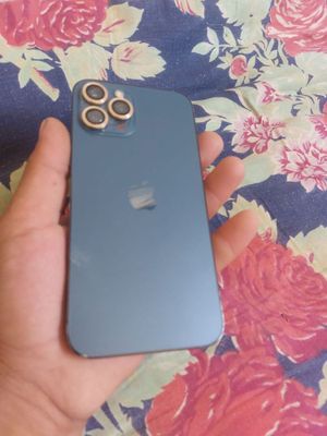 iPhone 12pro Max 128talik
