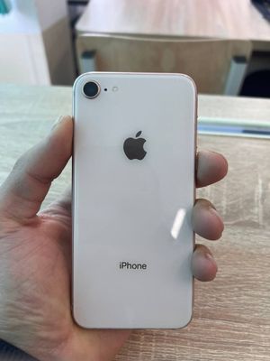 Iphone 8 sotilad holat idiyal karopka dakument yoq narxi 902000