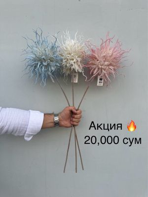 Суний гуллар шохлар оптом