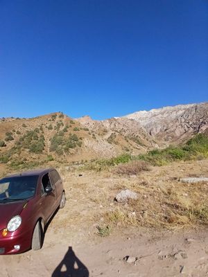 Srochna matiz sotiladi
