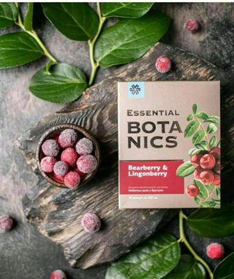 Archagul va brusnika-Essential Botanics