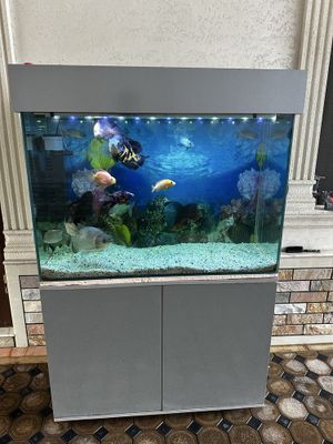 Akvarium sotiladi ichida baliqlari bilan
