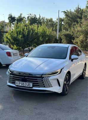 Byd chazor Hybrid Srochniy