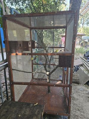 Продажи клетка с попугаями