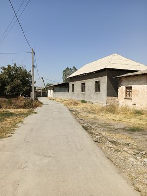 7 sotix. Maʼlumot telda