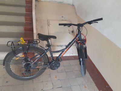Velesoped xolati zor