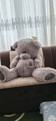 teddiy ayiq