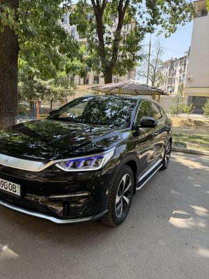 Byd Song plus Flekshin