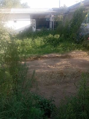 Hovlini yarmi sotiladi