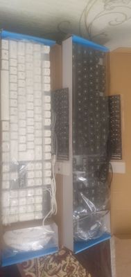 Klaviatura mishka RGB oq qora ranglari bor