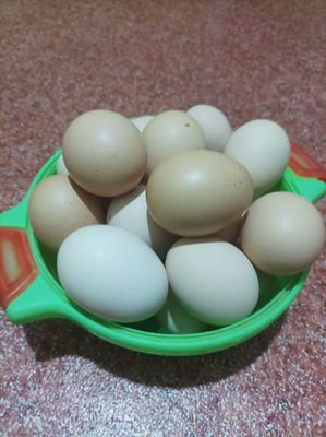 Продаётся домашние куриные яйца