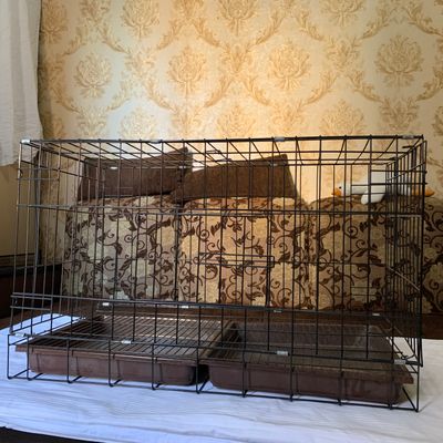 Большая сетка для животных