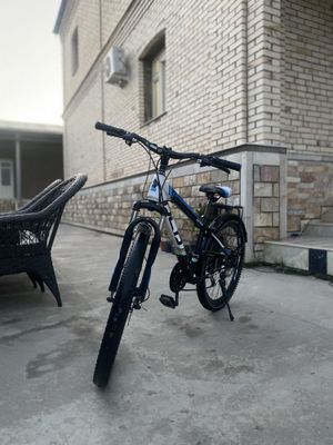 Велик бу нормальное состаяния
