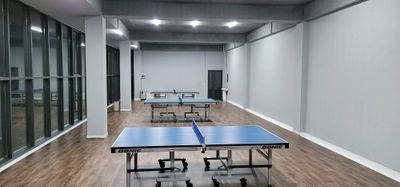 stol tennis , tennis stol . настольные теннис