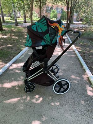 Премиальная коляска Cybex Priam 2 Piridise