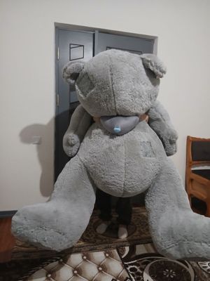 Katta oyinchoq Teddy