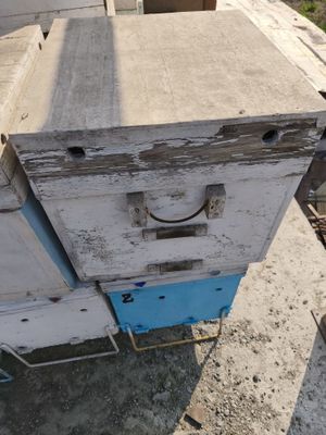Продам 12-ти рамочные улики.