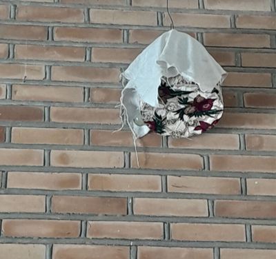 Bedona. 2 ta Sayroqi Bedona sotiladi