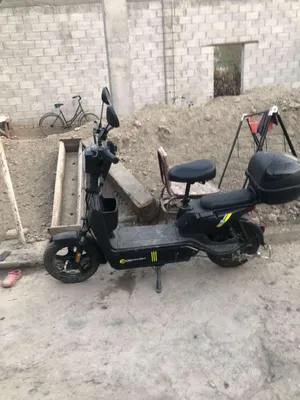 sukute yangi 1oy boldi150km yurgan nari2500