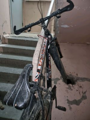 velik 26 gonchik