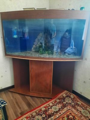 Аквариум в хорошем состояние