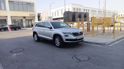 Шкода серий тозза краска 67000 юрганн