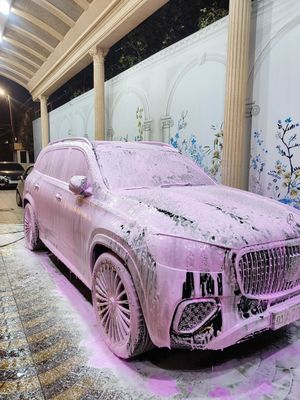 Выездная автомойка