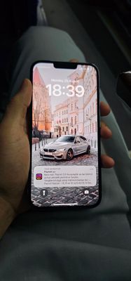 Iphone 13 Pro Max 256 79%