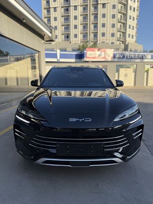 Byd chempion 150 tali gibrit 2024.12.noyabr