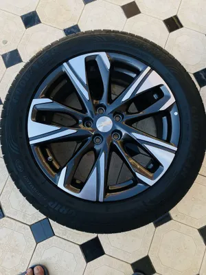 Trekker diska balon primyer R17 Gm