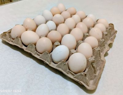 Домашние куриные яйца