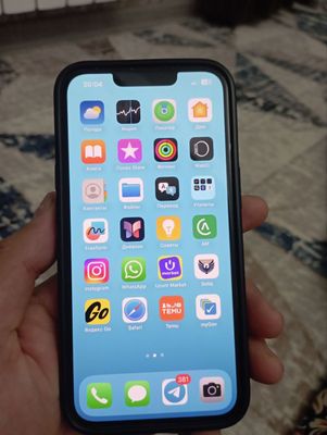 Apple 13 pro