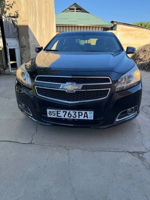 Malibu 1 2pazitsya