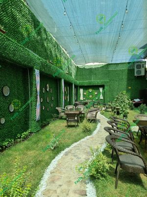 Yashil zabor / Искусственный кусты / Green Wall dekorativ setka