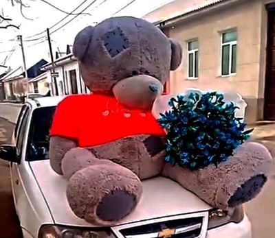 Teddy ayiq sotiladi narxi 500 ming