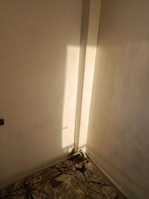 Bez makler.Qizlar uchun kvartira