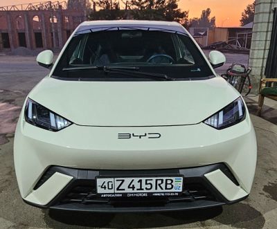 BYD SEAGULL 2024 Tozza