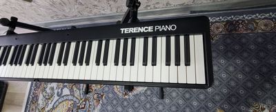 Terence Electron Piano 88 Yig'iluvchan