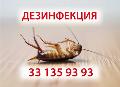 ДЕЗИНФЕКЦИЯ ДИЗЕНФЕКЦИЯ 24/7. Клопы, тараканы, комары, скорпионы, мухи